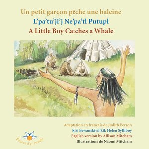 cover image of Un petit garçon pêche une baleine